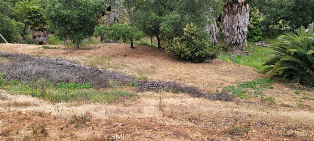 0 Calle Cuero Property Photo 4