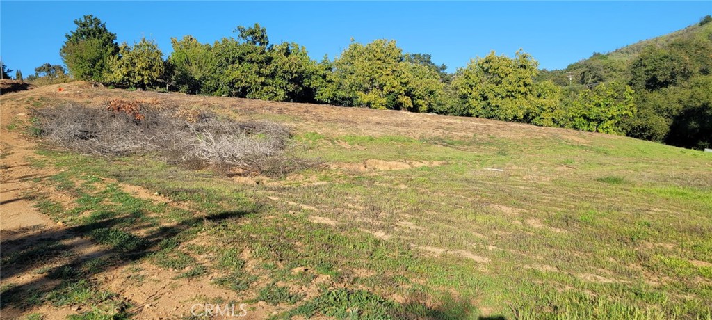 0 Calle Cuero Property Photo 6