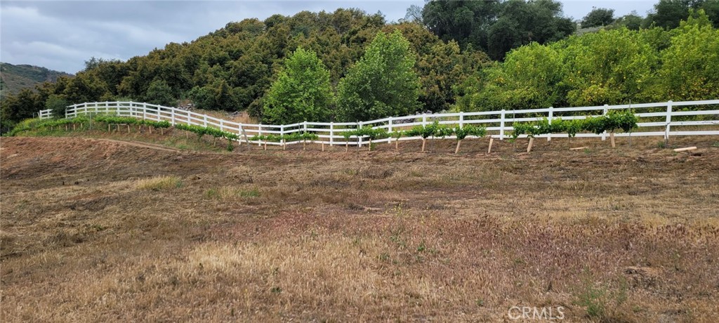 0 Calle Cuero Property Photo 7