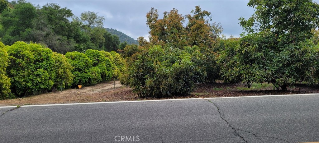 0 Calle Cuero Property Photo 10