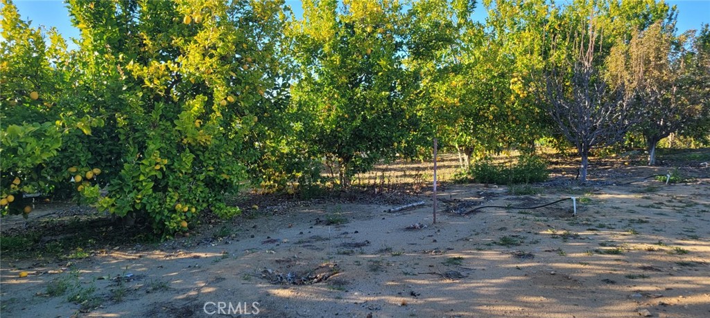 0 Calle Cuero Property Photo 14