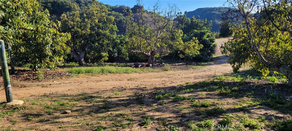 0 Calle Cuero Property Photo 17