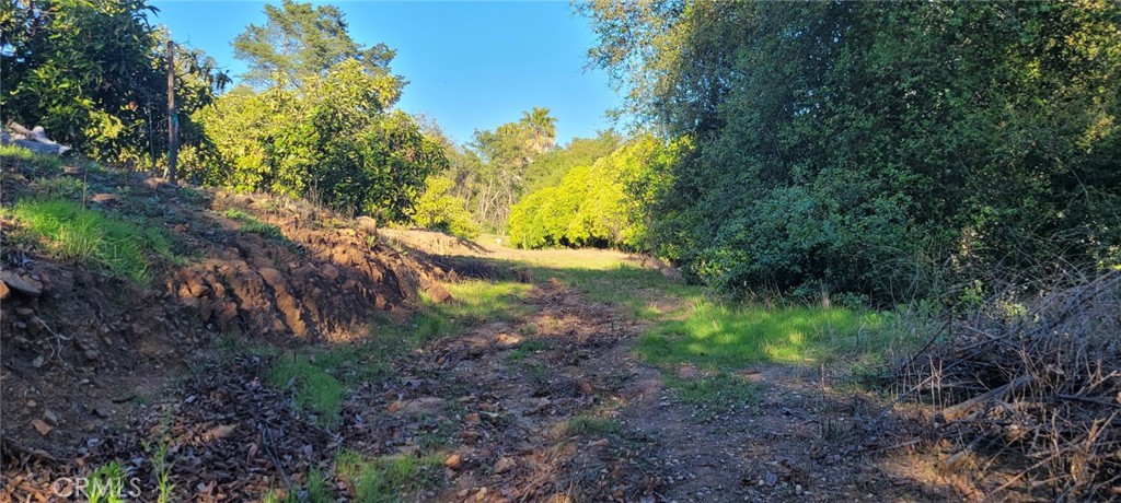 0 Calle Cuero Property Photo 18