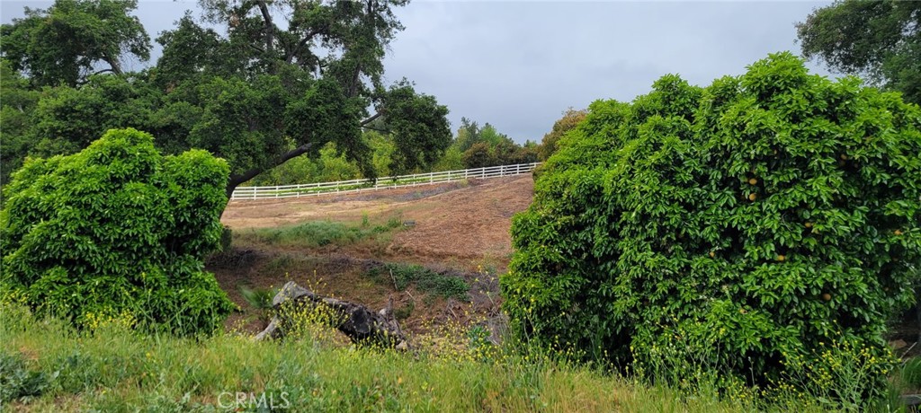 0 Calle Cuero Property Photo 19