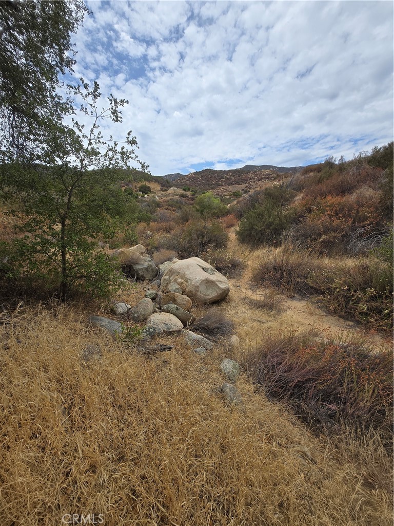 34965 Borchard Property Photo 1