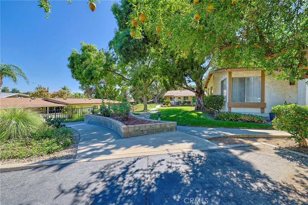19368 Avenue Of The Oaks Property Photo 27