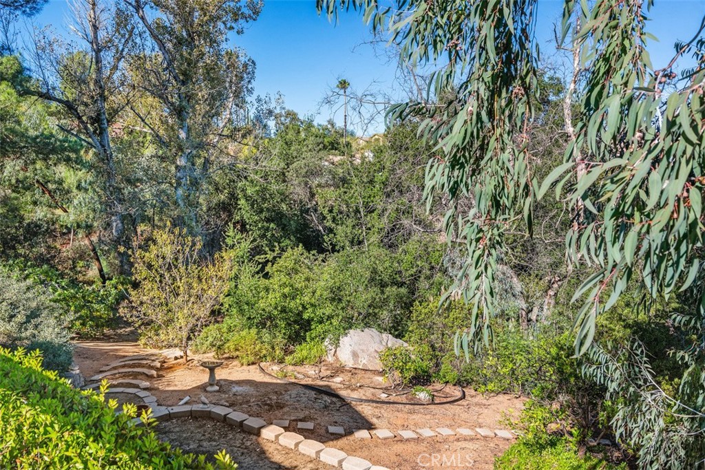 23810 Barona Mesa Road Property Photo 32