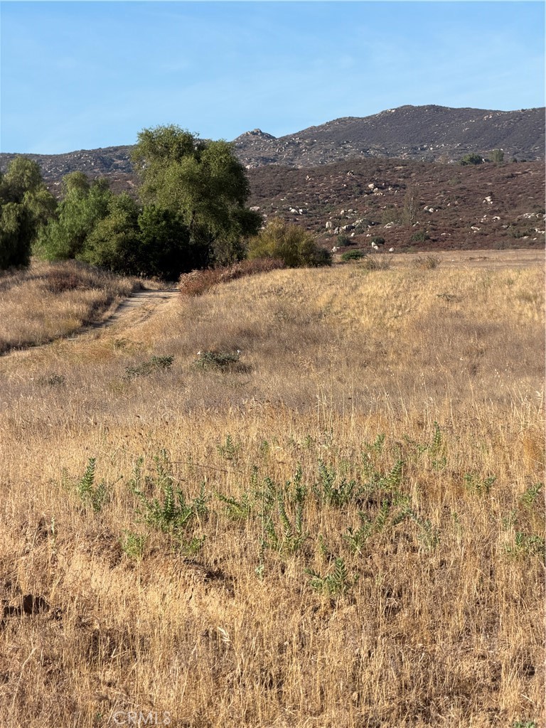 0 Cactus Valley Road Property Photo 2