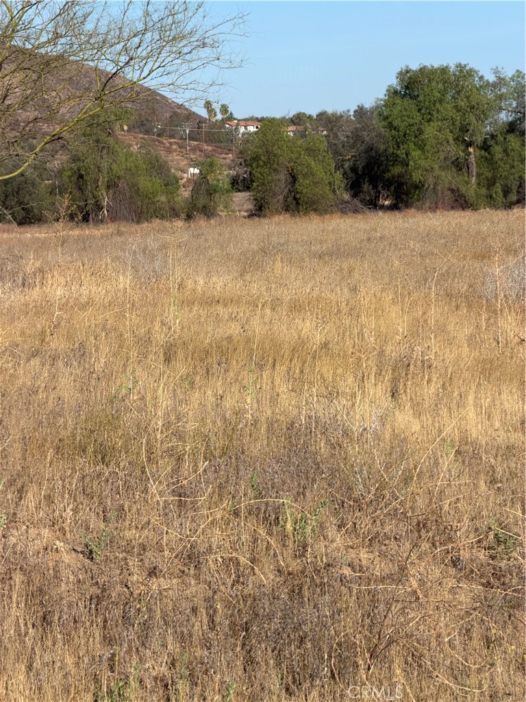 0 Cactus Valley Road Property Photo 10