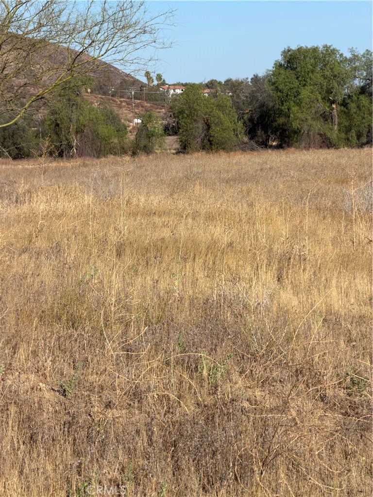 0 Cactus Valley Road Property Photo 10