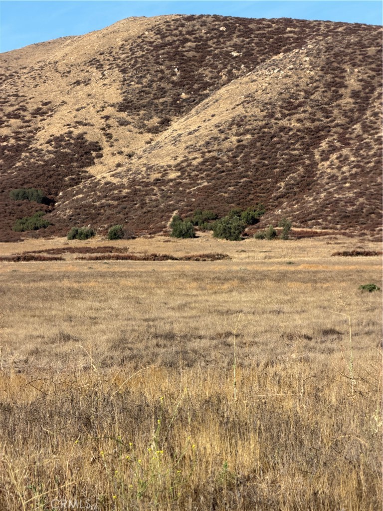 0 Cactus Valley Road Property Photo 11