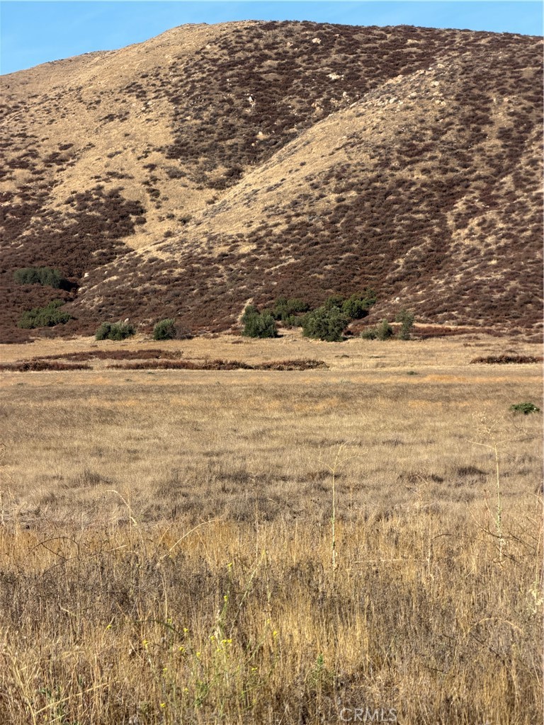 0 Cactus Valley Road Property Photo 11