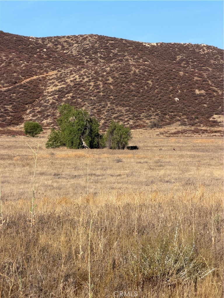 0 Cactus Valley Road Property Photo 12