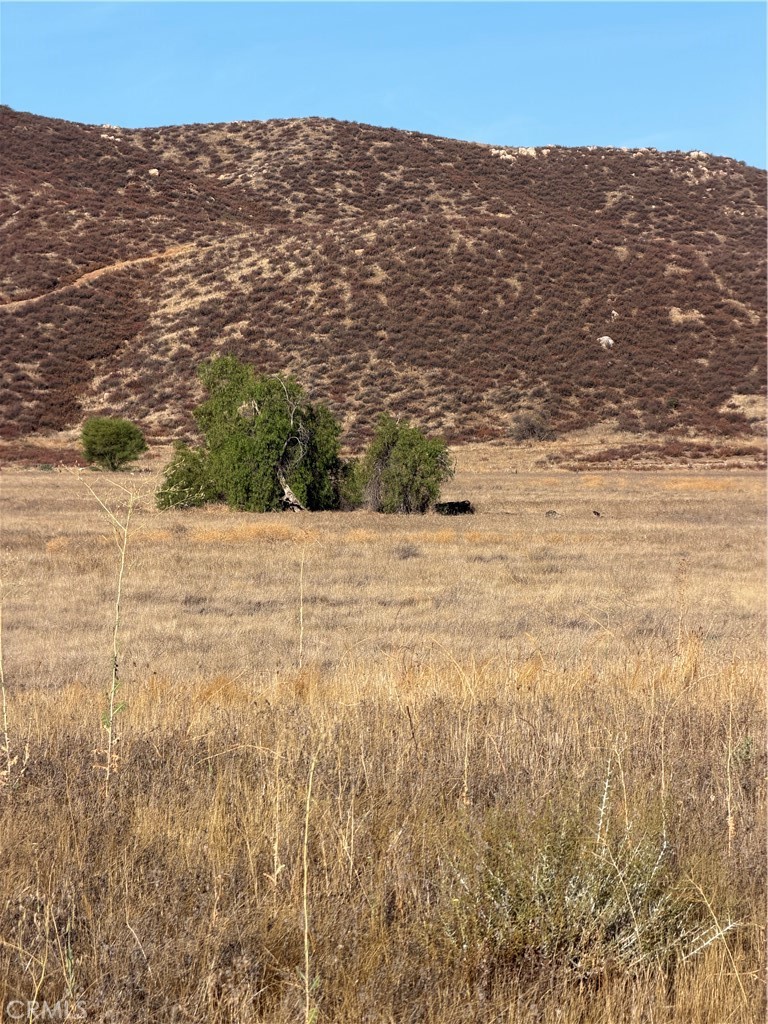0 Cactus Valley Road Property Photo 12