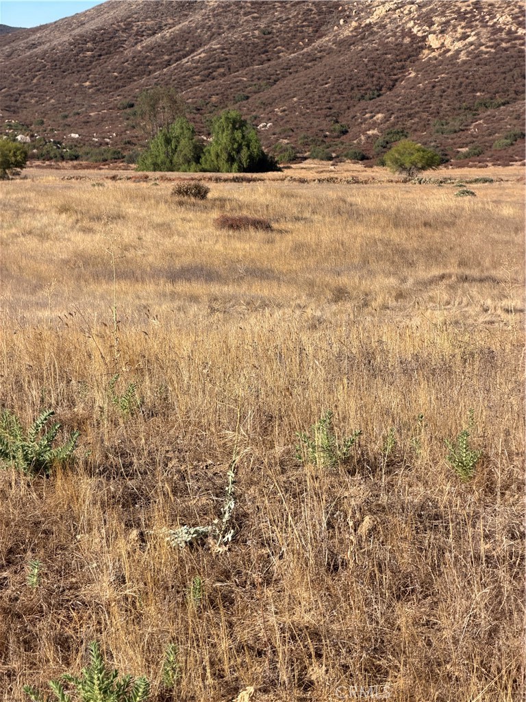 0 Cactus Valley Road Property Photo 13