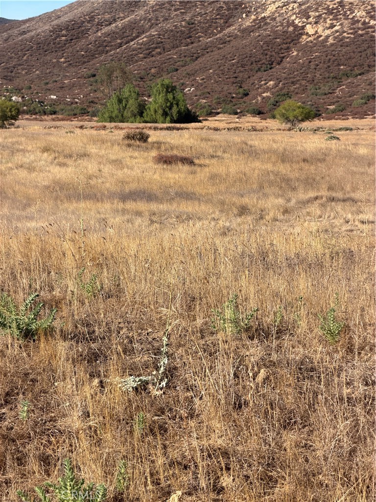 0 Cactus Valley Road Property Photo 13
