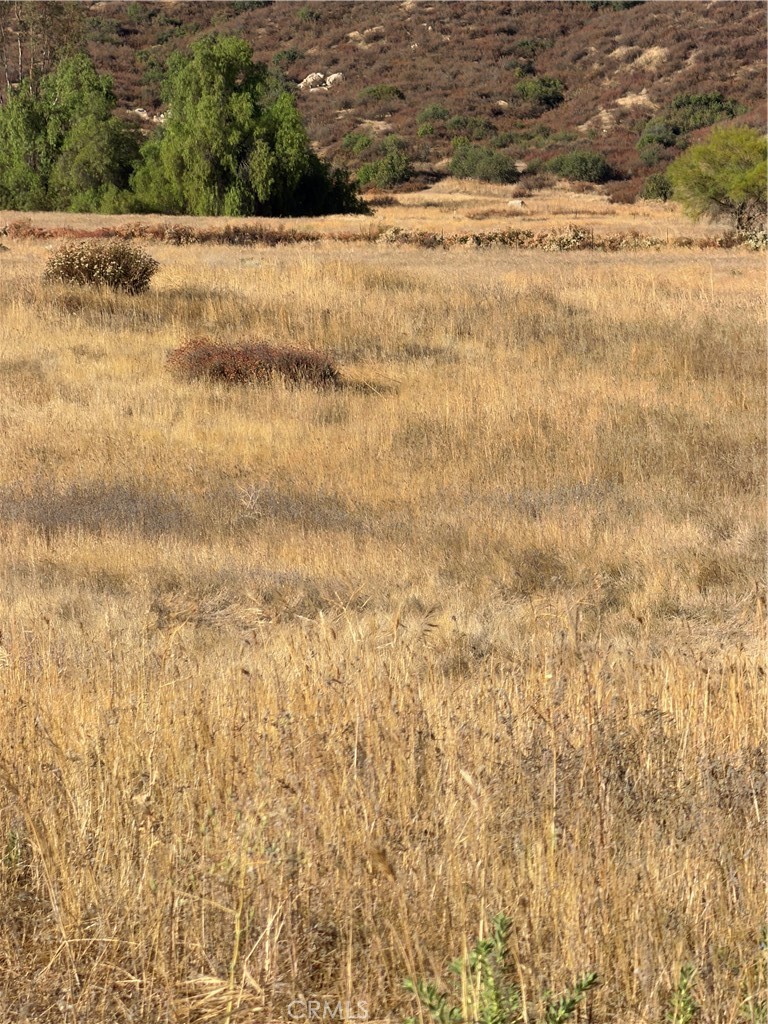 0 Cactus Valley Road Property Photo 14