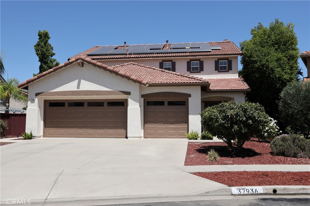 37936 Sawleaf Place Property Photo 1