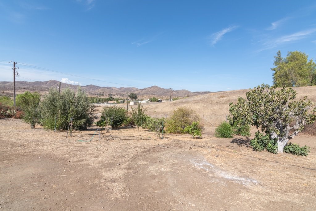 33900 Andy Property Photo 22