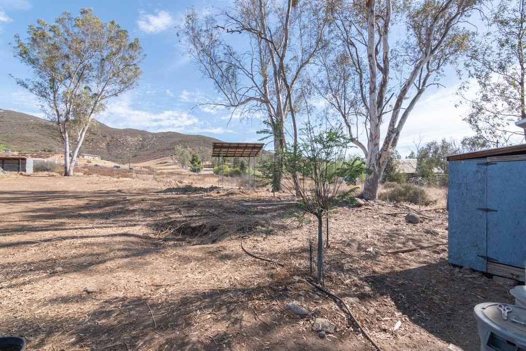 33900 Andy Property Photo 29