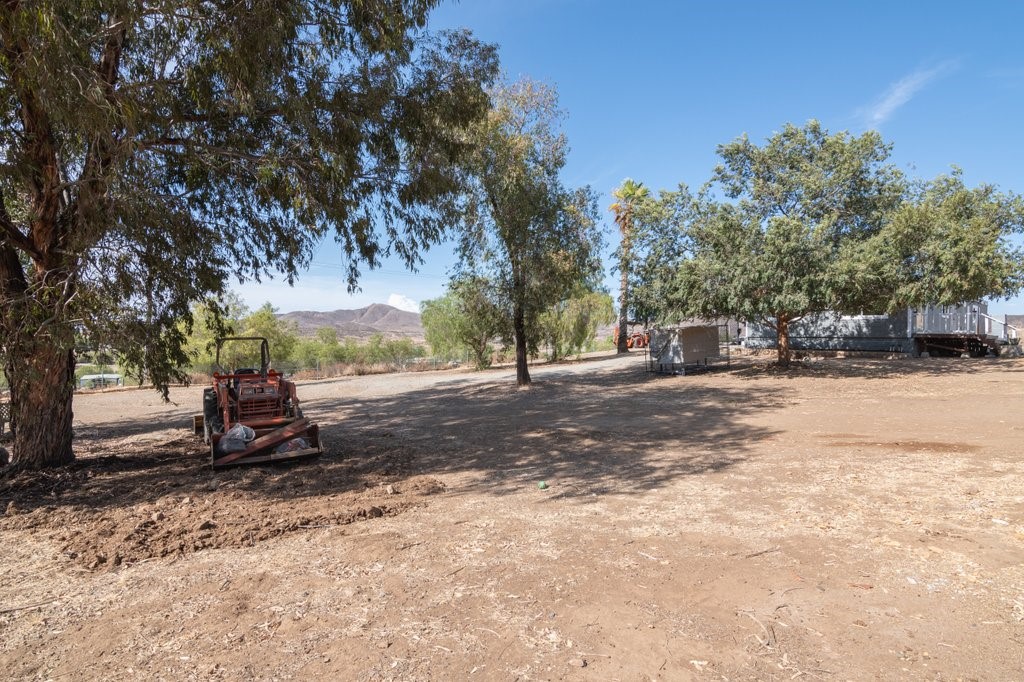33900 Andy Property Photo 30