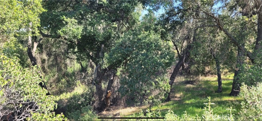 0 Avenida Taxco Property Photo 1