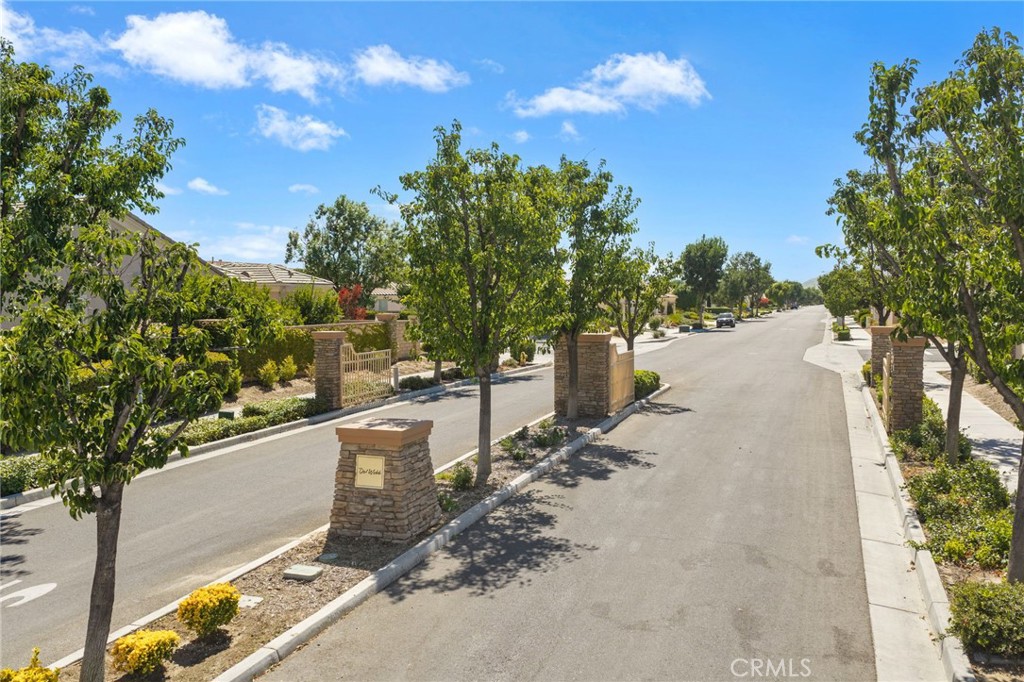 1467 Via Rojas Property Photo 51