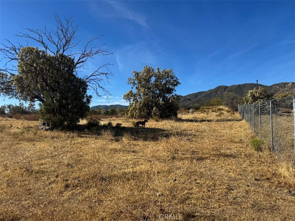44243 Chapman Property Photo 7