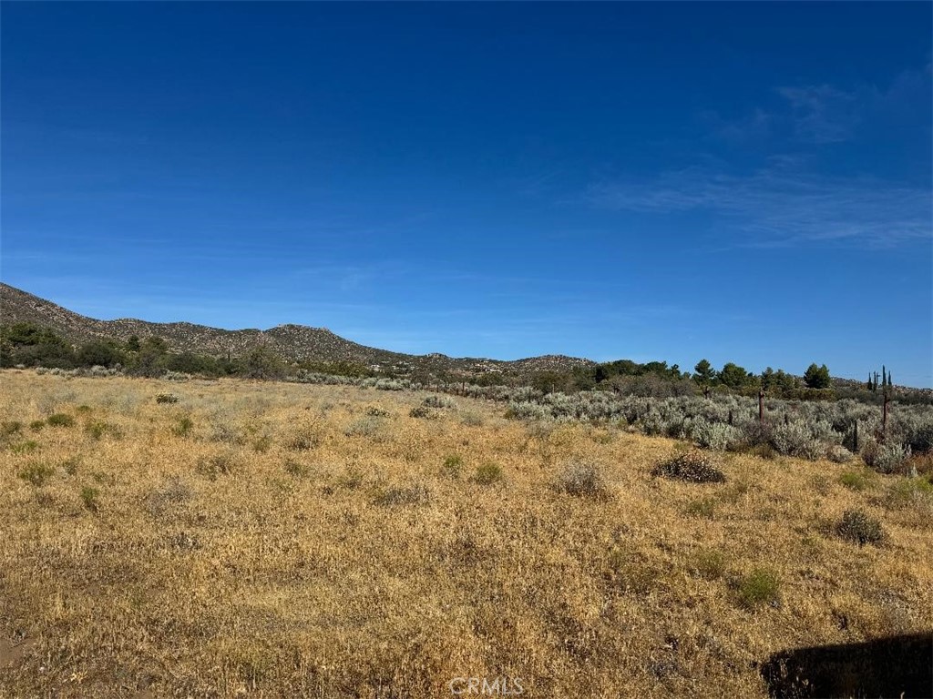 44243 Chapman Property Photo 8