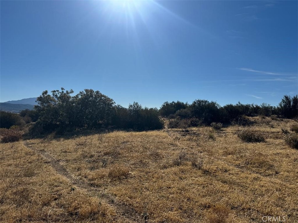 44243 Chapman Property Photo 10