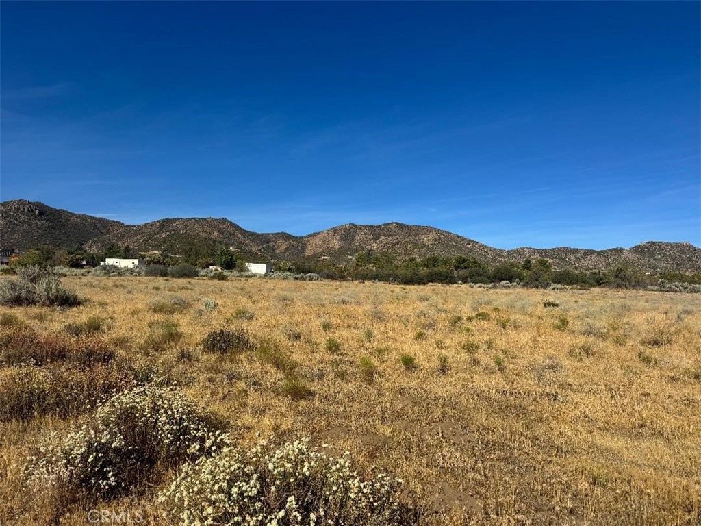 44243 Chapman Property Photo 11