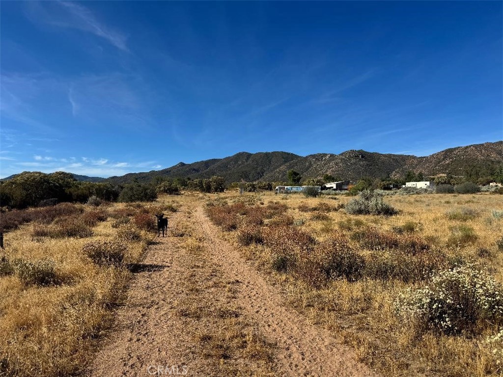 44243 Chapman Property Photo 12