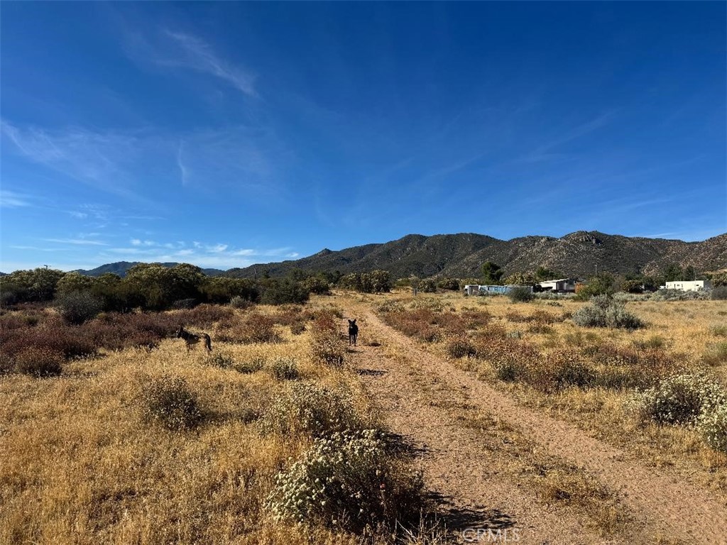 44243 Chapman Property Photo 13