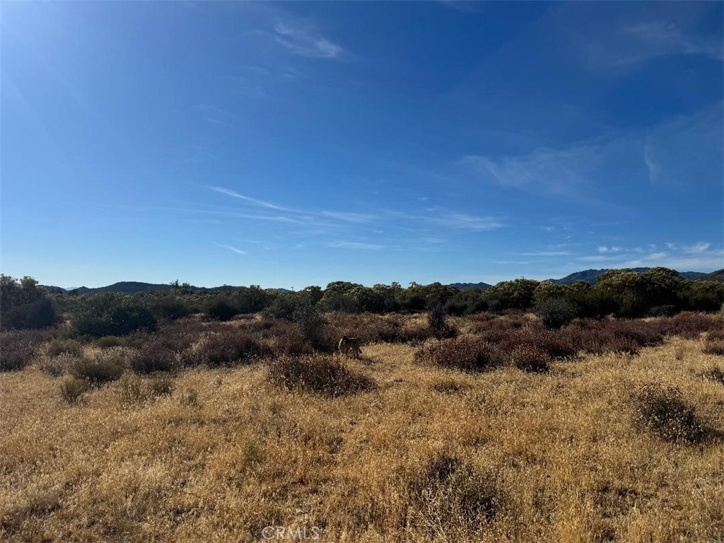 44243 Chapman Property Photo 14
