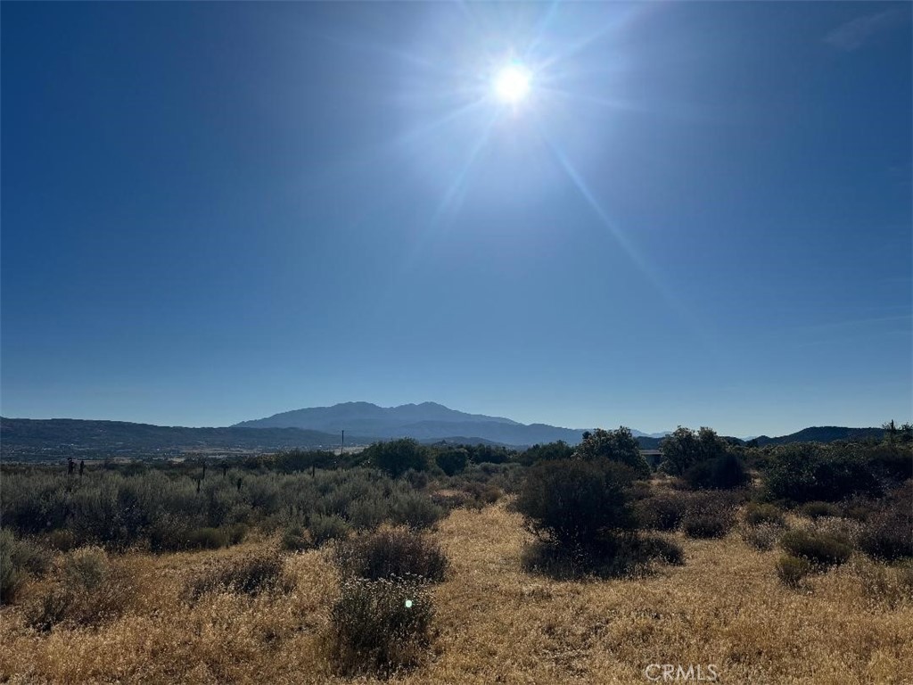 44243 Chapman Property Photo 15