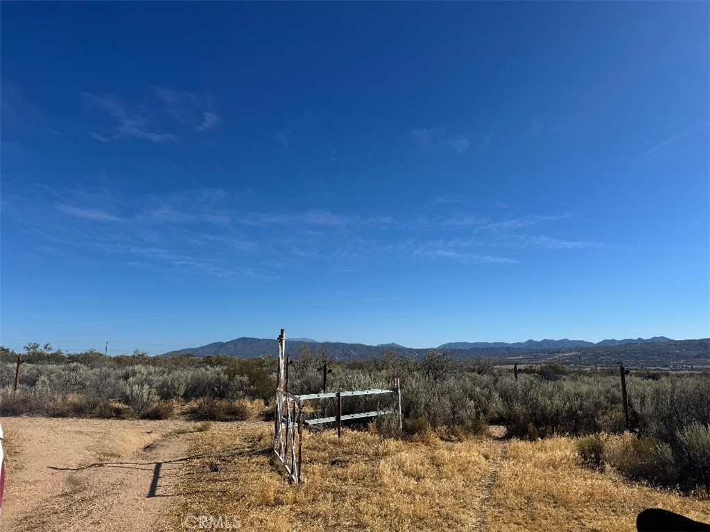 44243 Chapman Property Photo 16