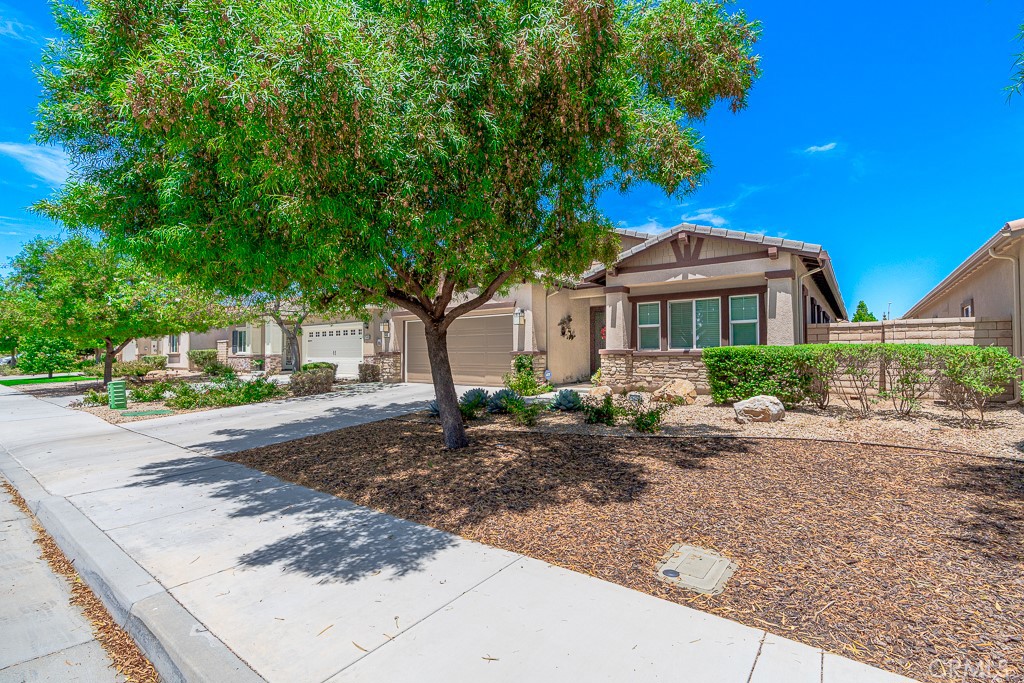 26458 Desert Rose Lane Property Photo 4