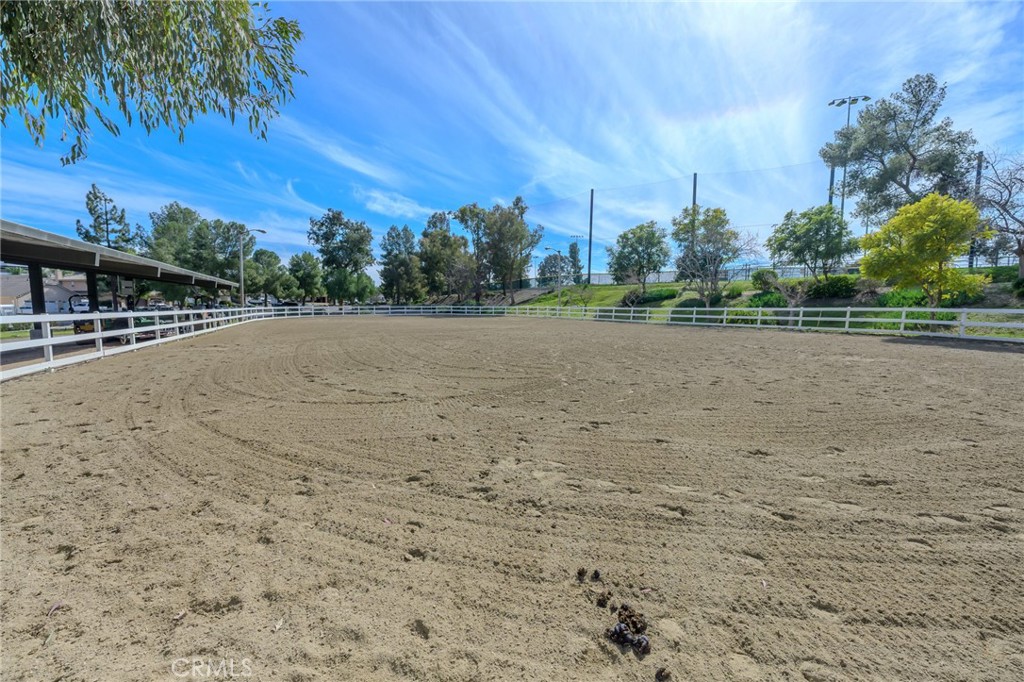 30010 Big Range Road Property Photo 10