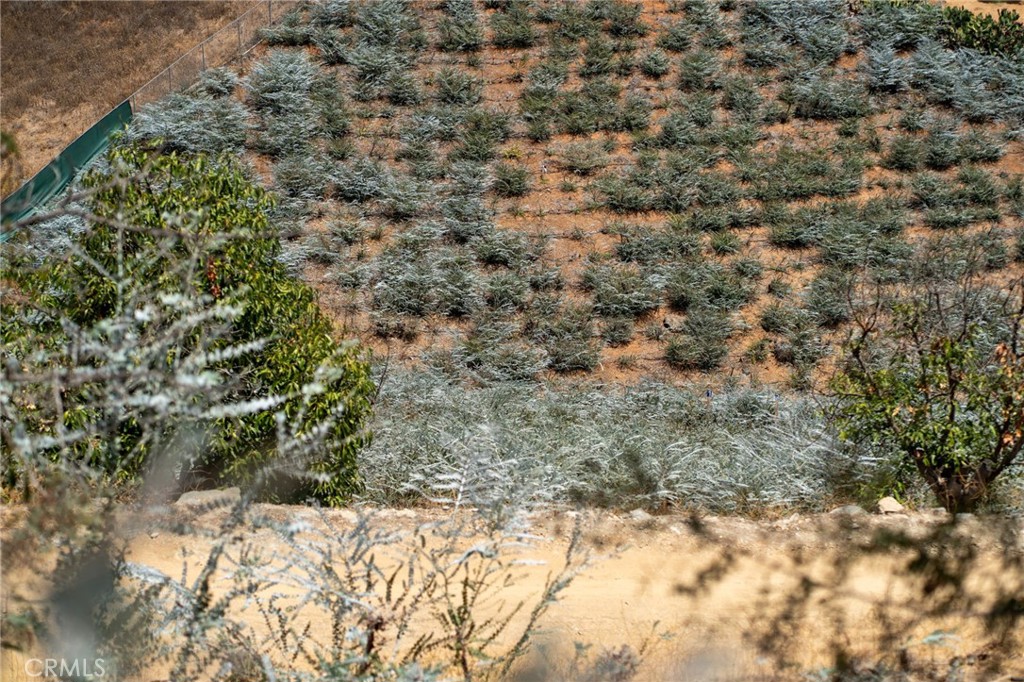 35775 Rice Canyon Property Photo 9