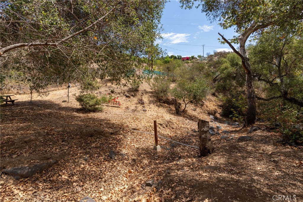 35775 Rice Canyon Property Photo 15
