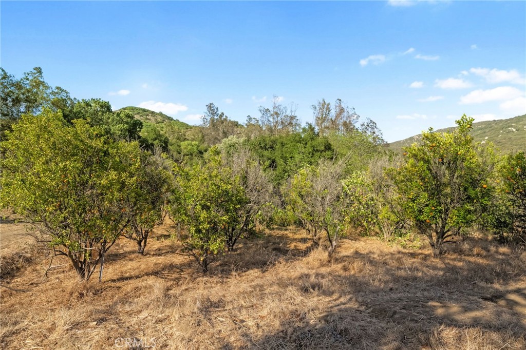 0 Camino Gazapo Property Photo 16