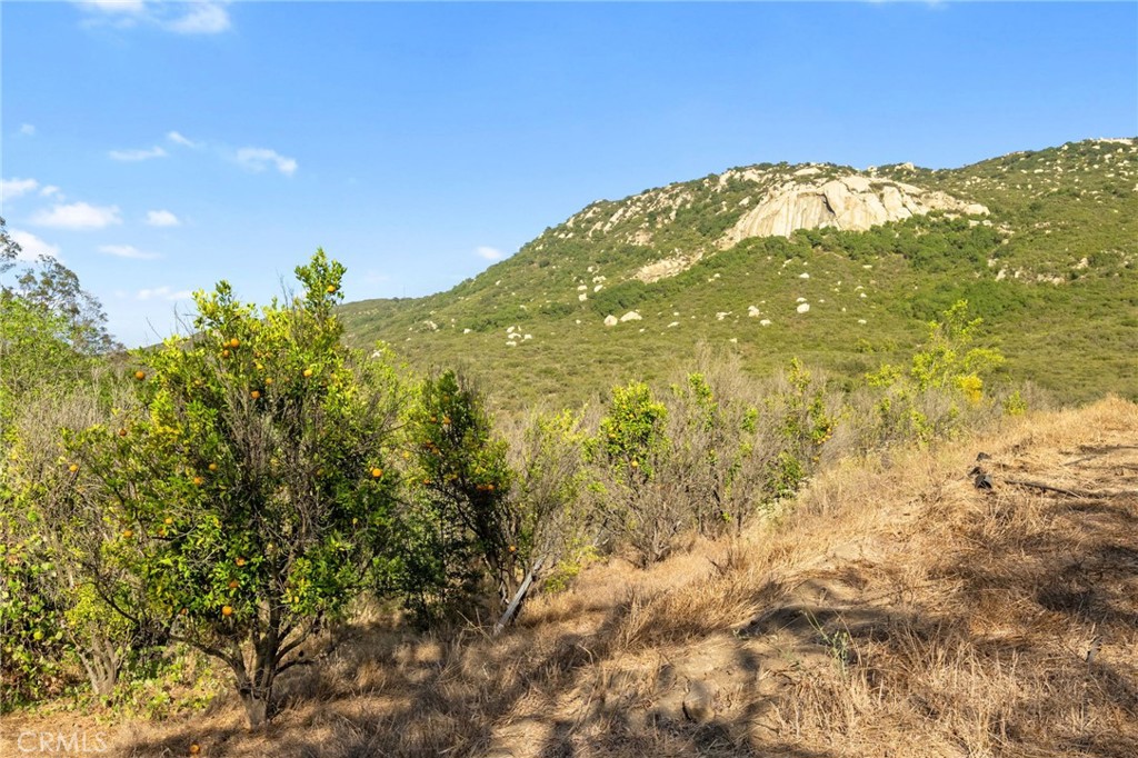 0 Camino Gazapo Property Photo 17