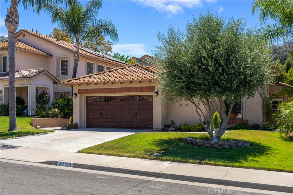 32185 Paseo San Esteban Property Photo 4