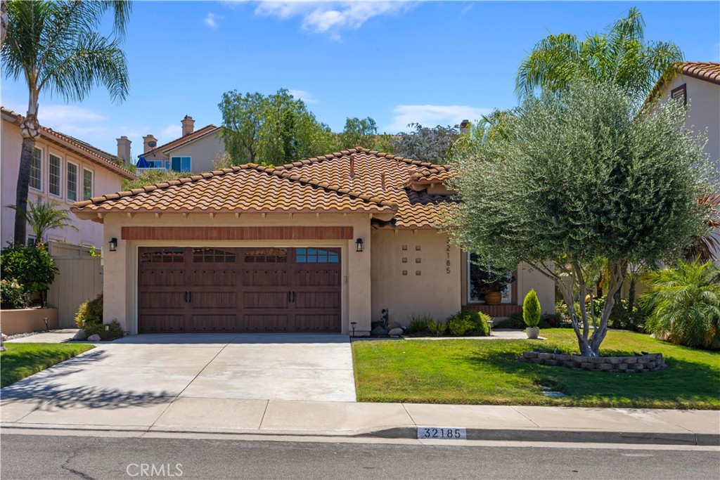 32185 Paseo San Esteban Property Photo 49