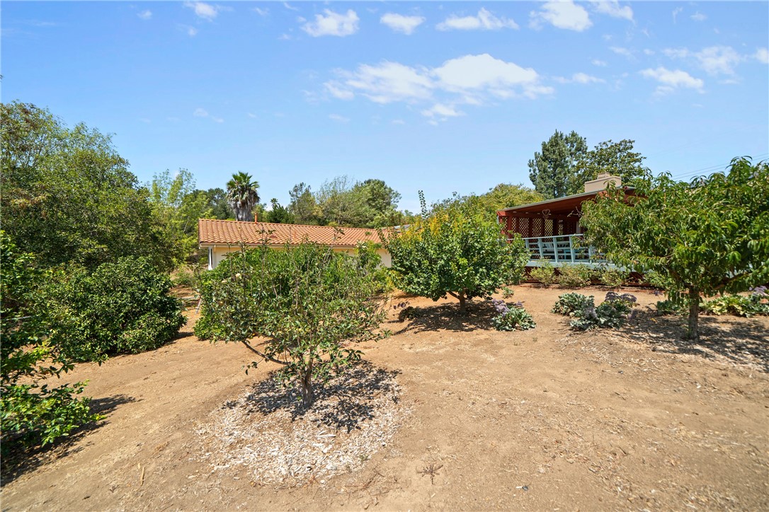720 Carnation Lane Property Photo 31