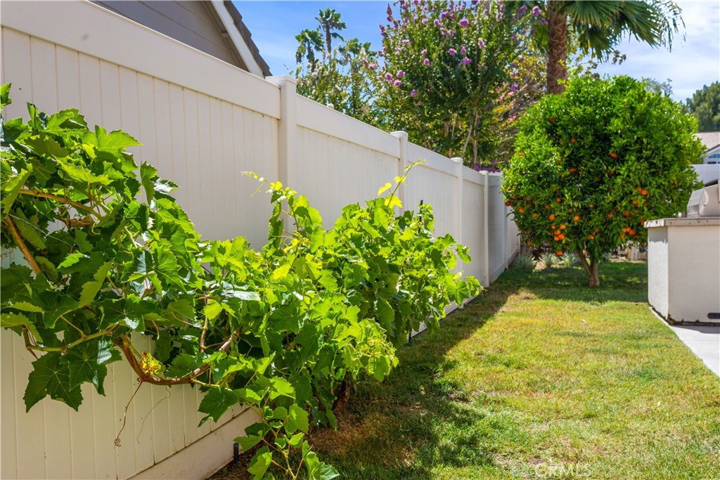 45573 Olympic Property Photo 27