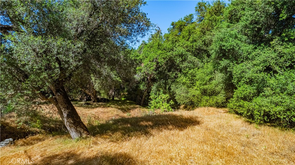 48 Lot Cryer Drive Property Photo 1