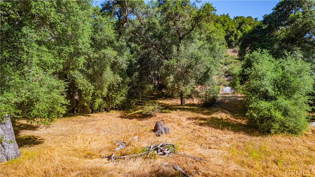 48 Lot Cryer Drive Property Photo 6