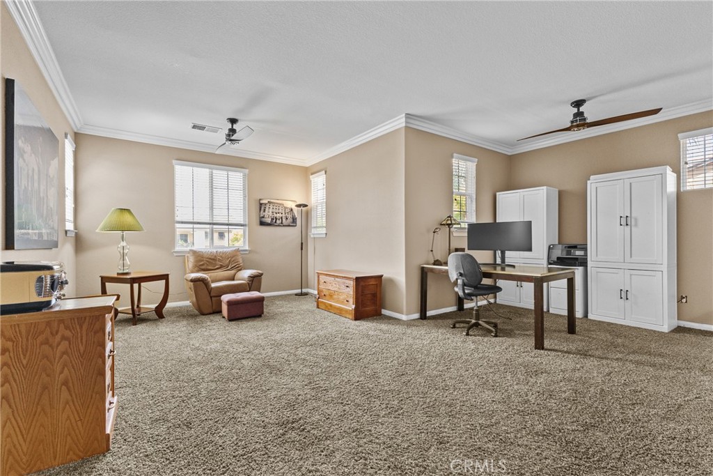 23826 Doheny Property Photo 24