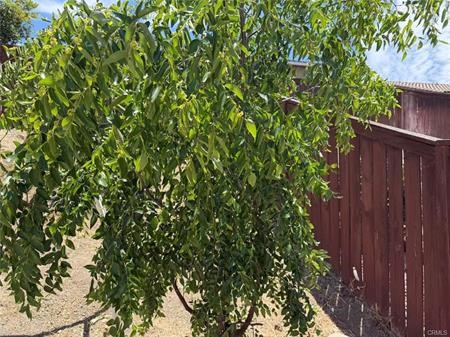 29535 Hyperion Property Photo 24